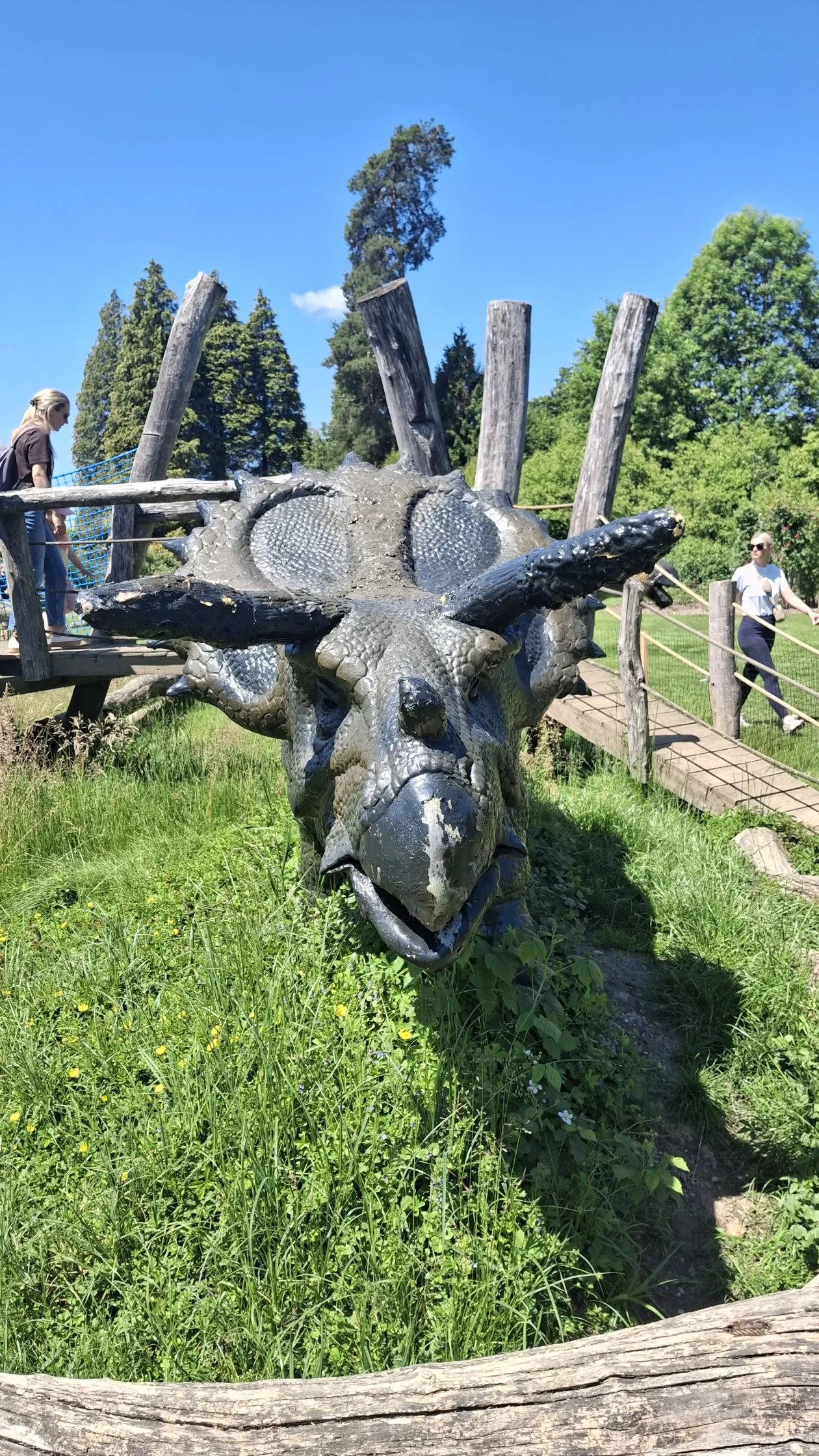 Slovenija putovanje izlet Draškovec Hemuševec (21)