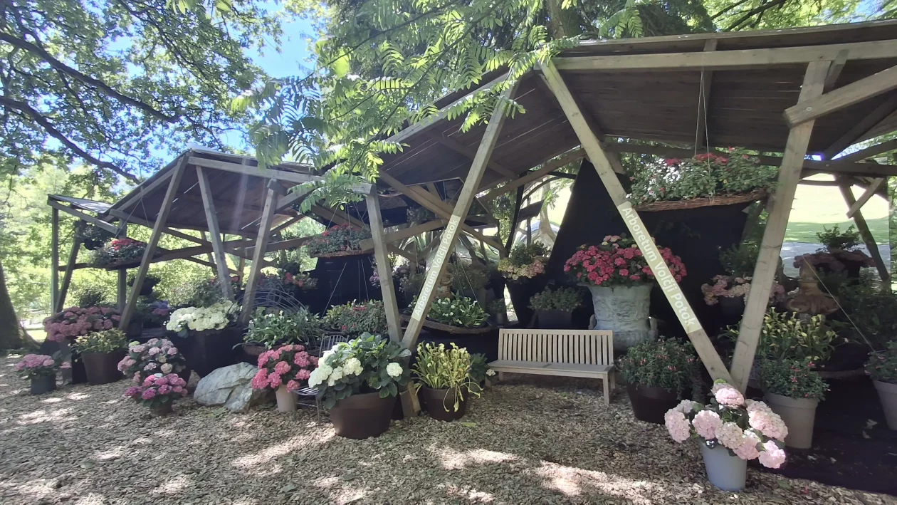 Slovenija putovanje izlet Draškovec Hemuševec (27)