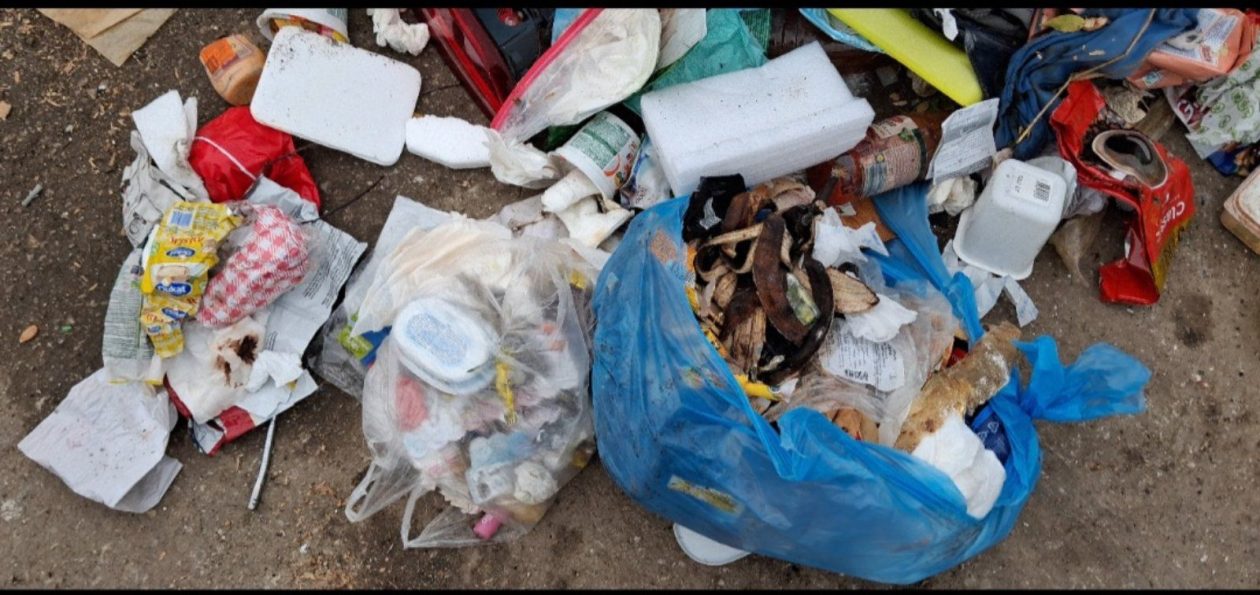 Smeće prekom 2026 (5) Smeće prekom 2026 (5)