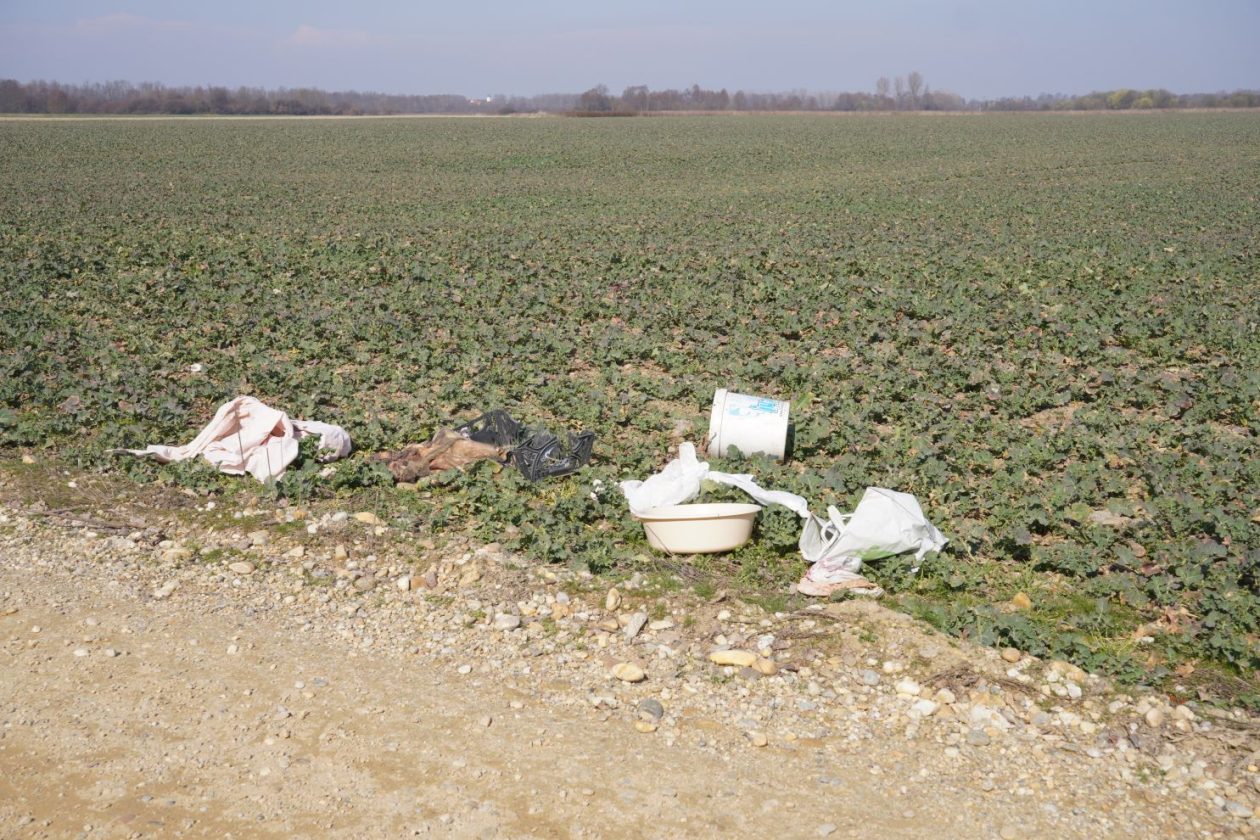 Smeće u Belici (11)