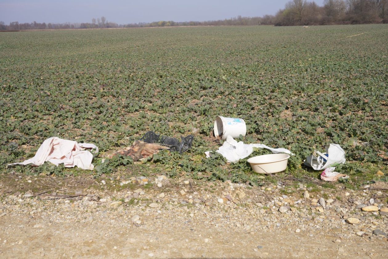 Smeće u Belici (12)
