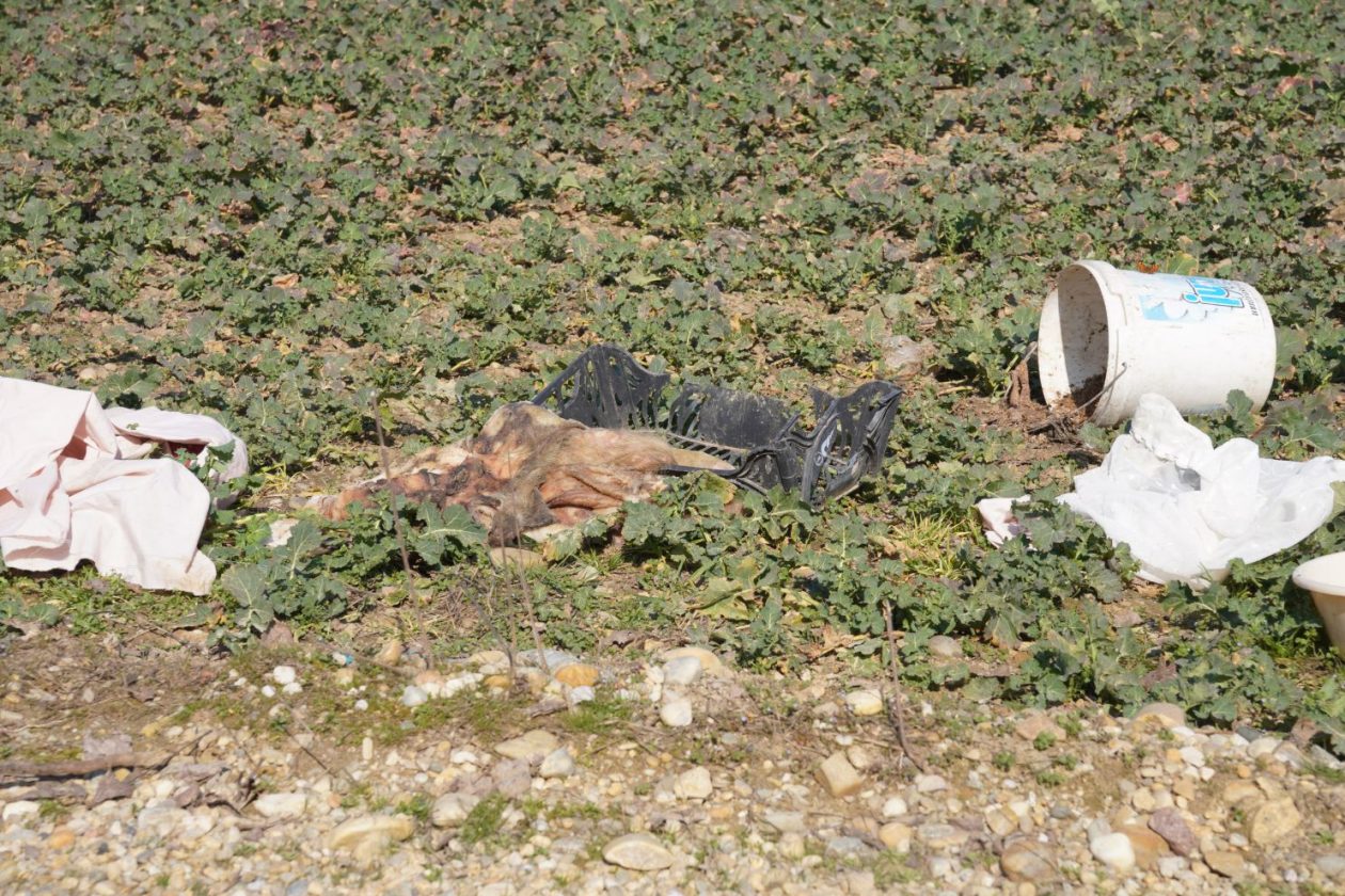Smeće u Belici (13)