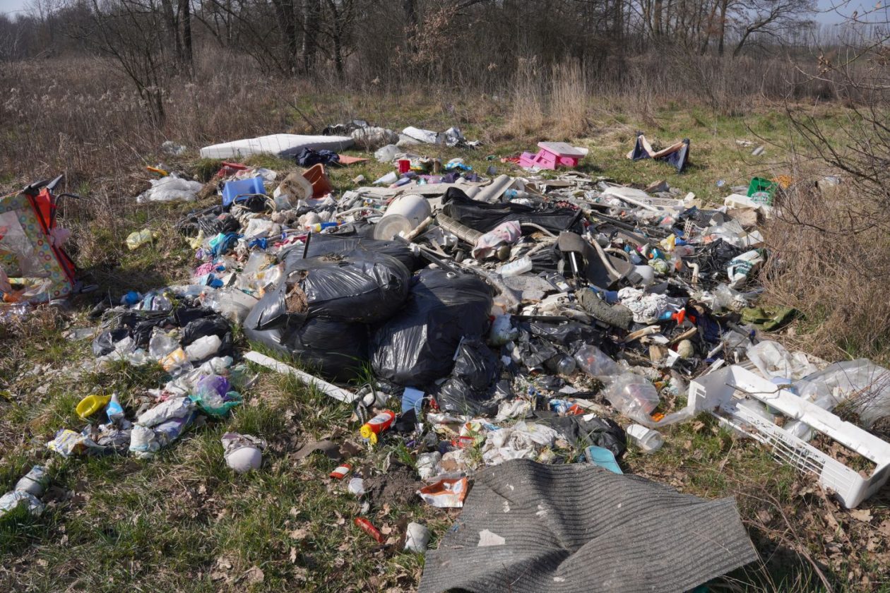 Smeće u Belici (26)