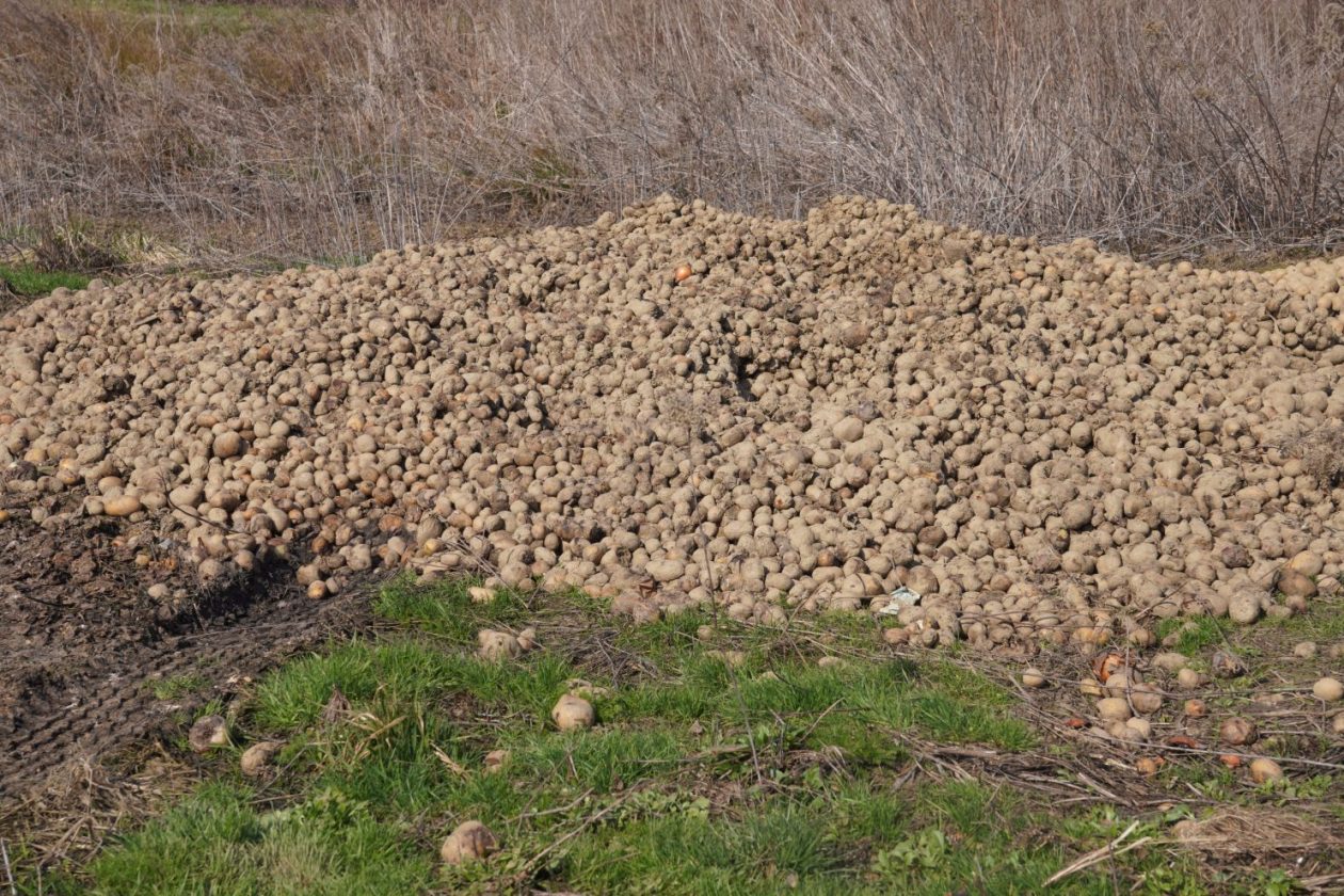 Smeće u Belici (32)