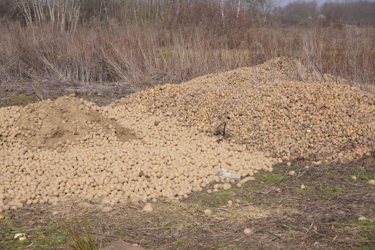 Smeće u Belici (33)