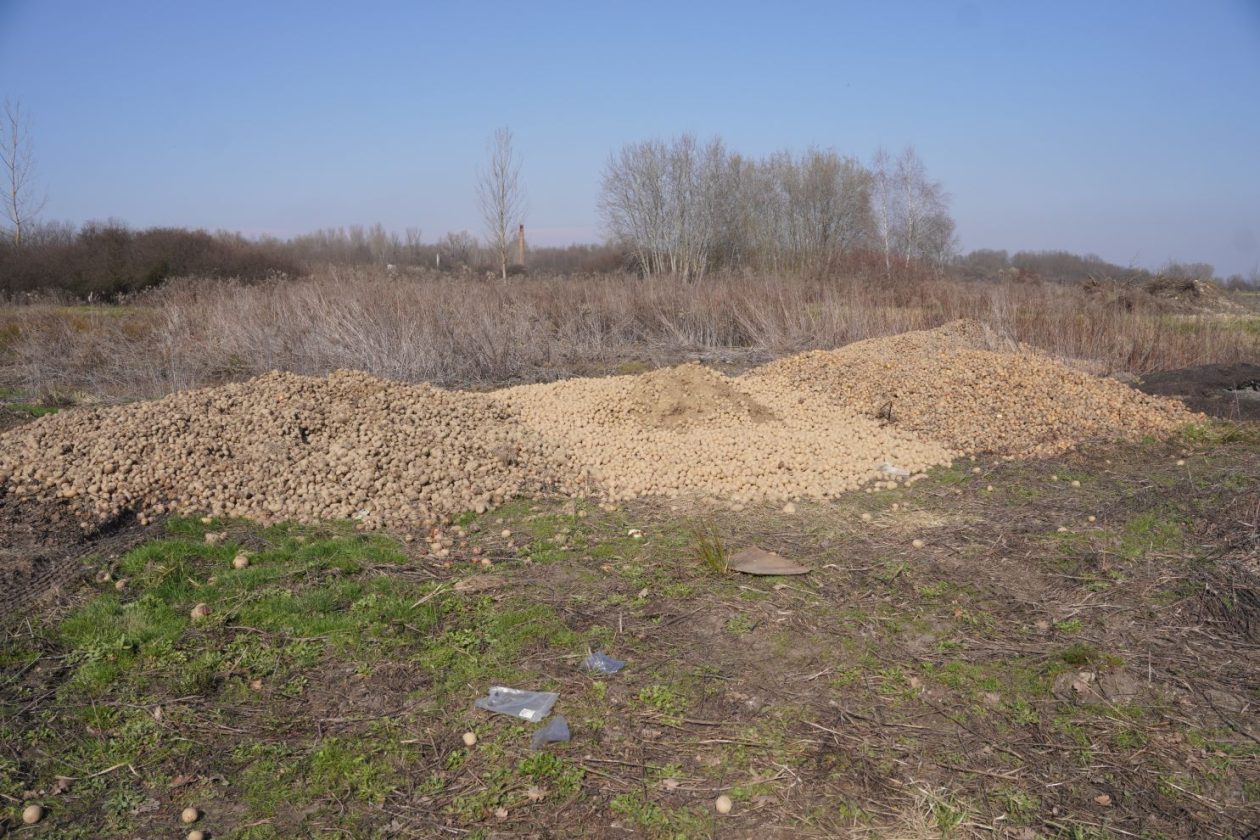 Smeće u Belici (34)