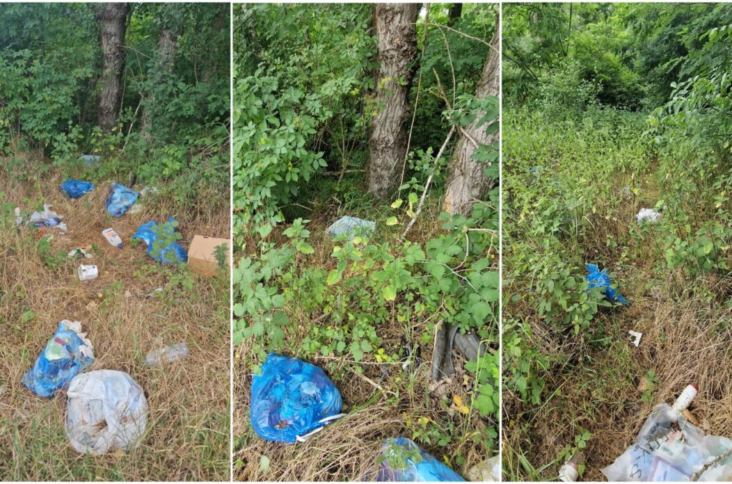 Smeće u prirodi, HE Dubrava (1)