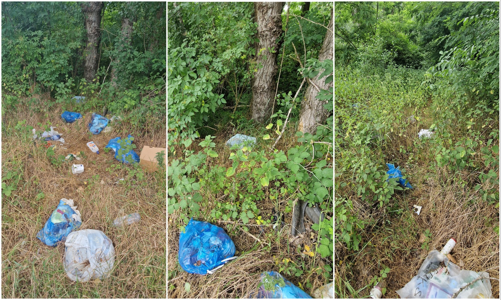 Smeće u prirodi, HE Dubrava (1)