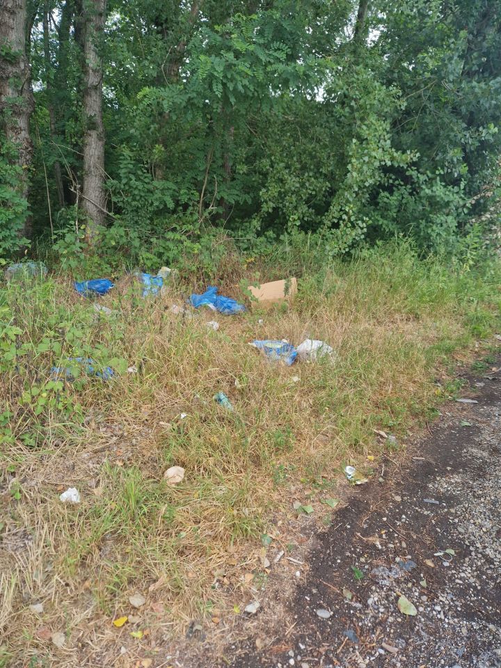 Smeće u prirodi, HE Dubrava (2)