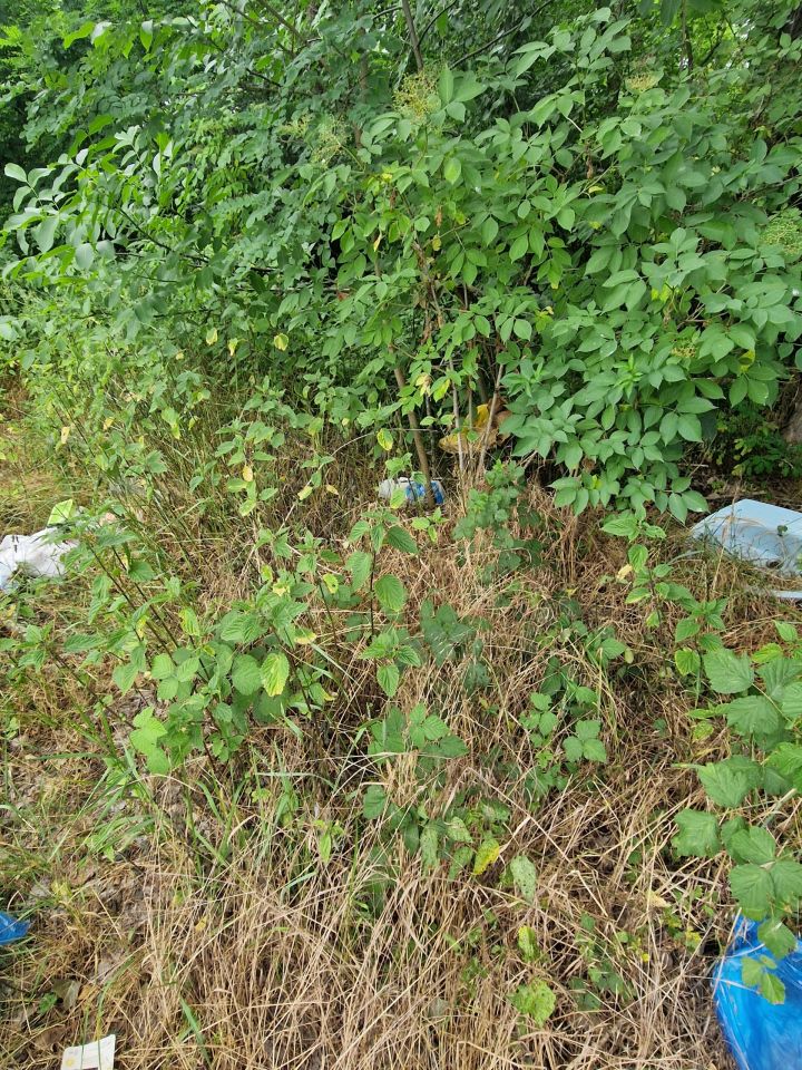 Smeće u prirodi, HE Dubrava (3)