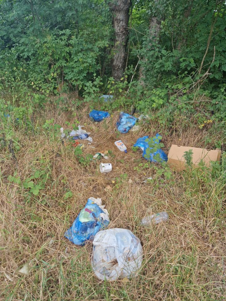 Smeće u prirodi, HE Dubrava (4)