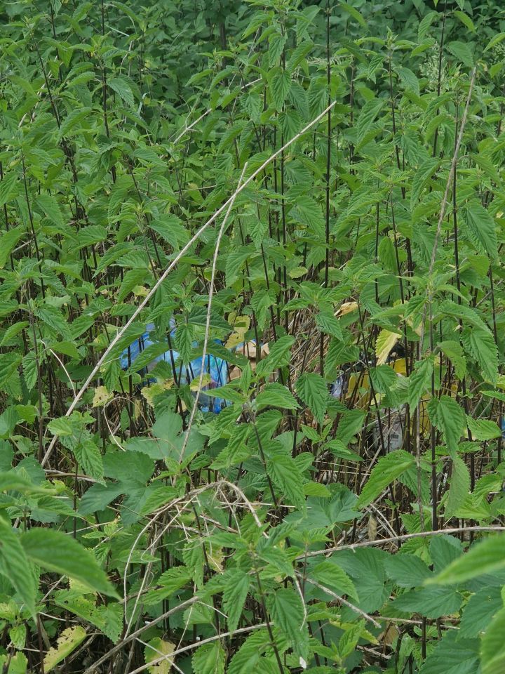 Smeće u prirodi, HE Dubrava (5)