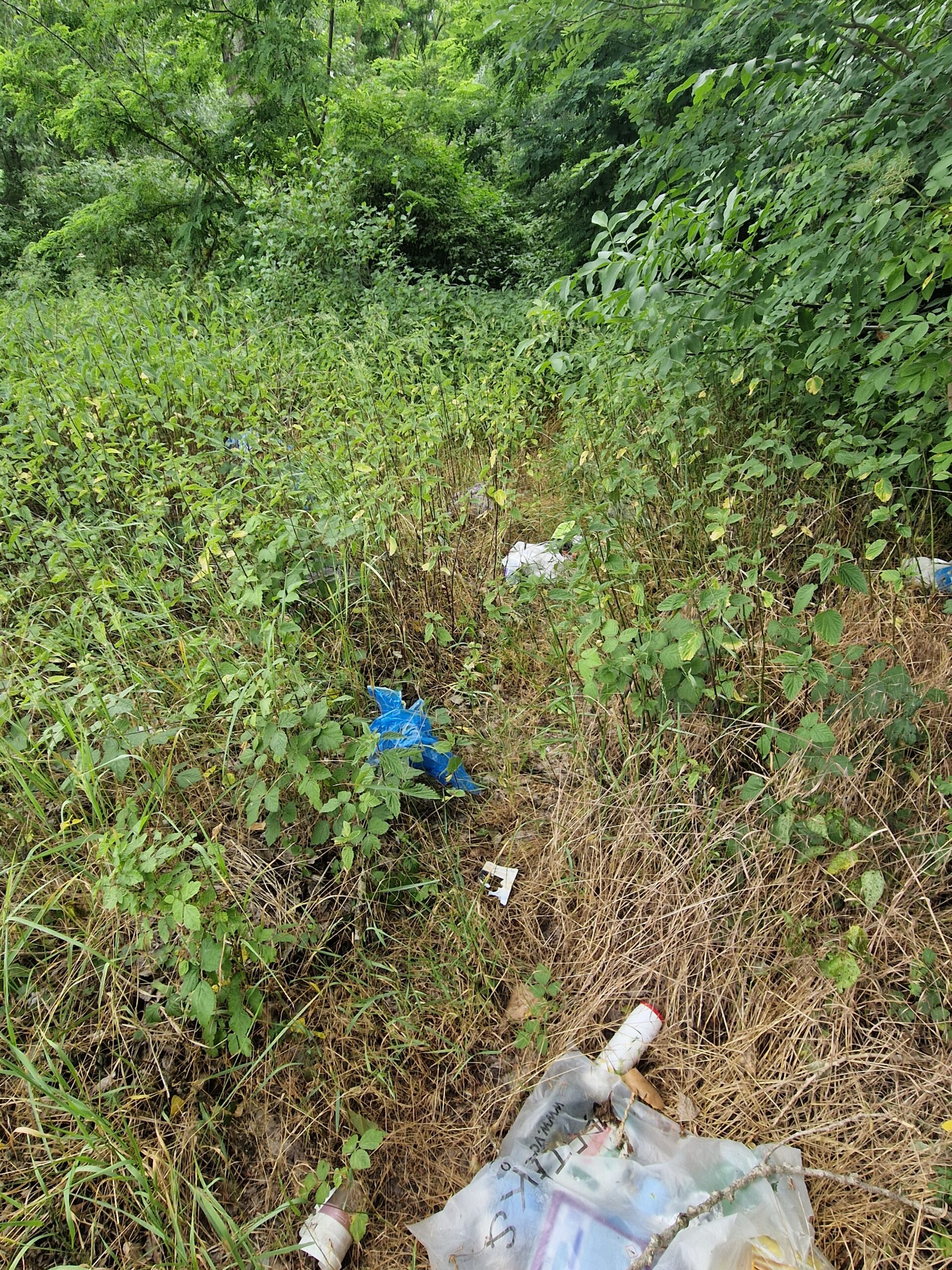 Smeće u prirodi, HE Dubrava (6)