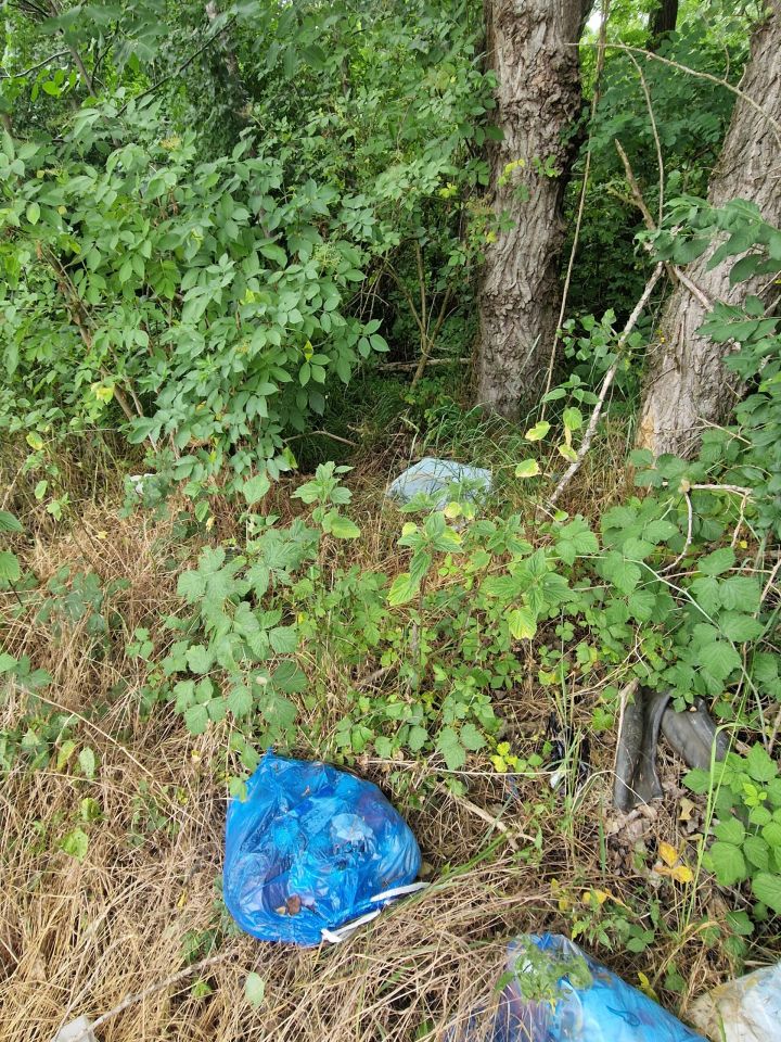 Smeće u prirodi, HE Dubrava (7)