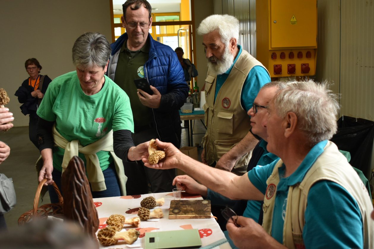 Smrčkijada GD Smrčak 2026 (13)