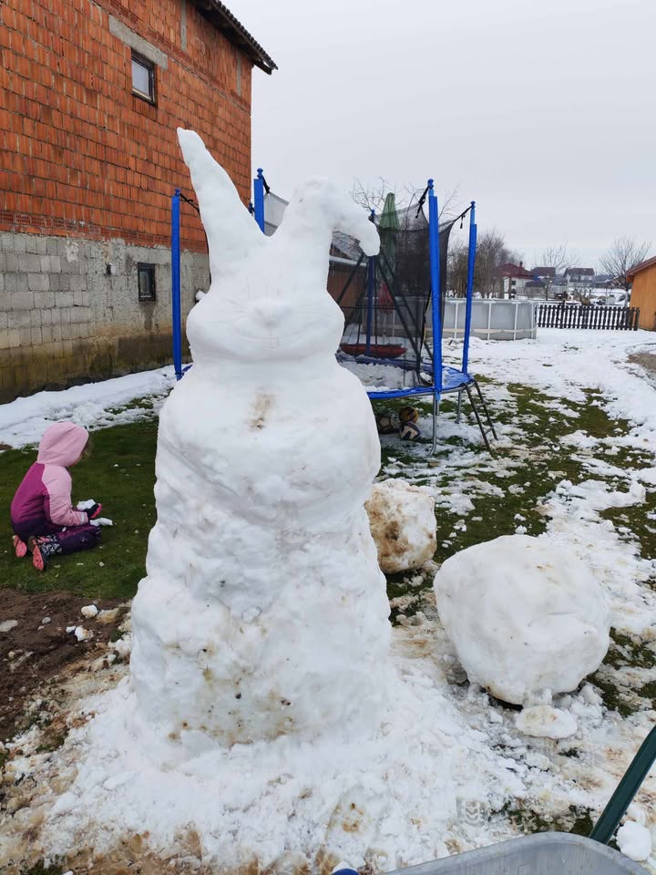 Snjegović zeko zec (4)
