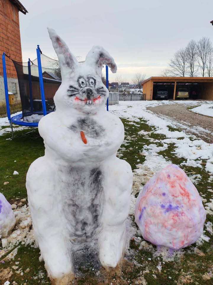 Snjegović zeko zec (7)