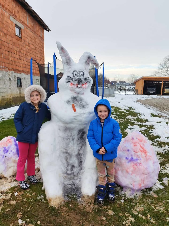 Snjegović zeko zec (8)