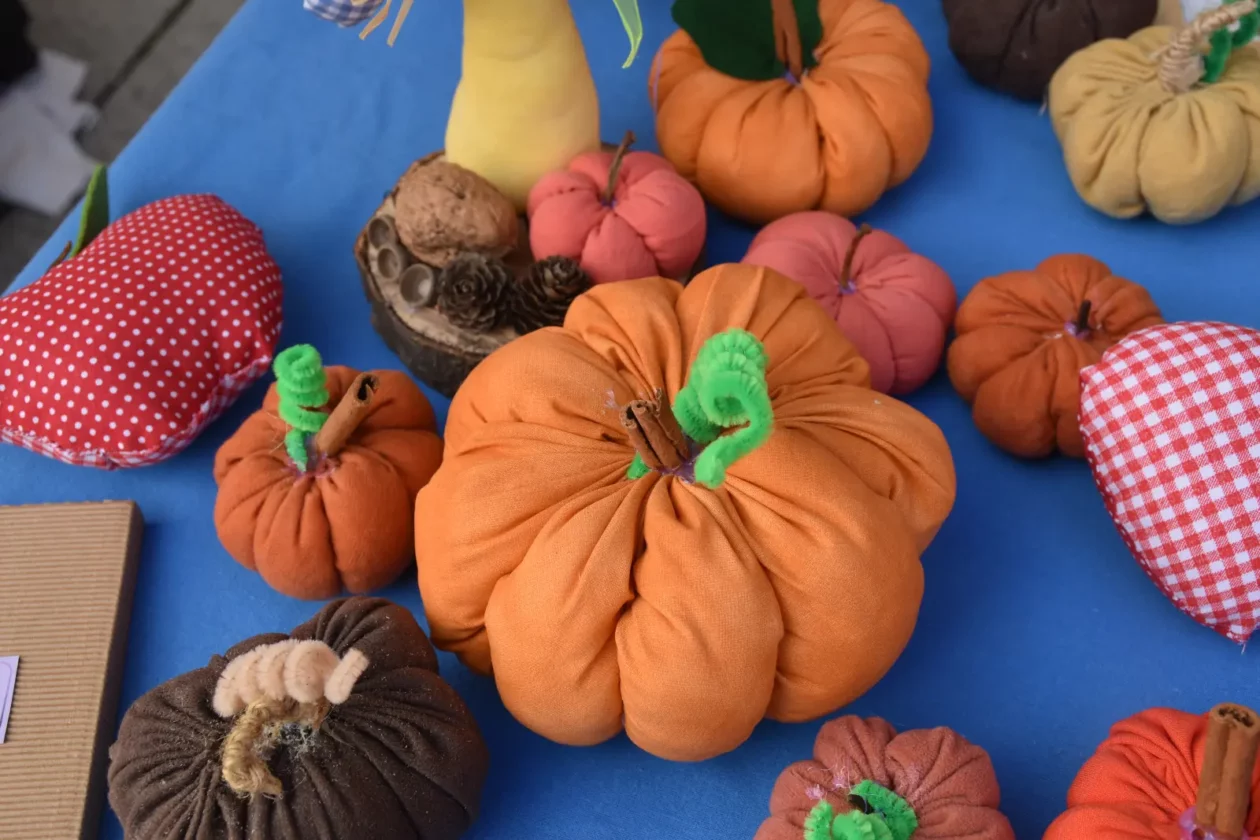 Sobočki eko sajam Mala Subotica dodatne fotke (7)