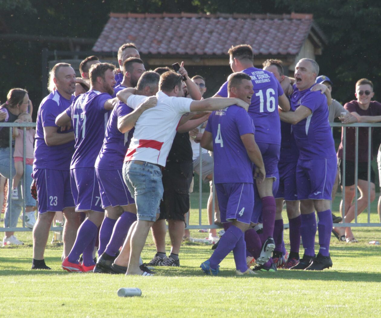 Sokol Vratišinec (3) Sokol Vratišinec (3)