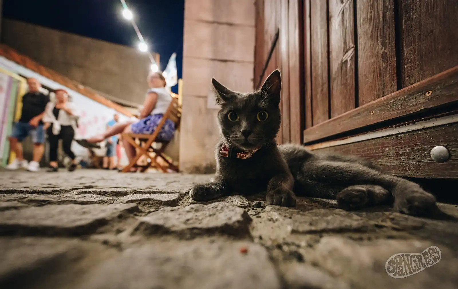 Špancirfest (18) Špancirfest (18)