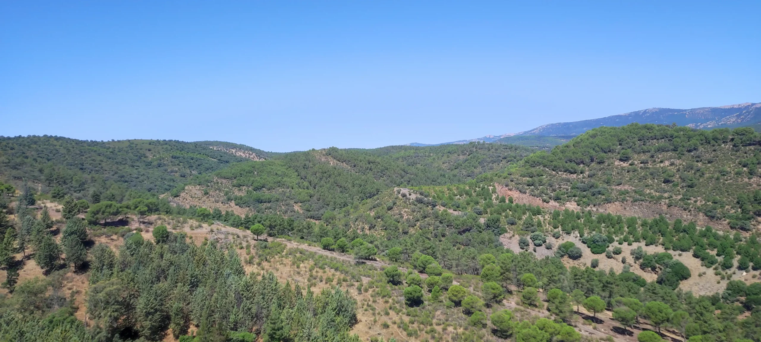 Španjolska, Andaluzija (37)