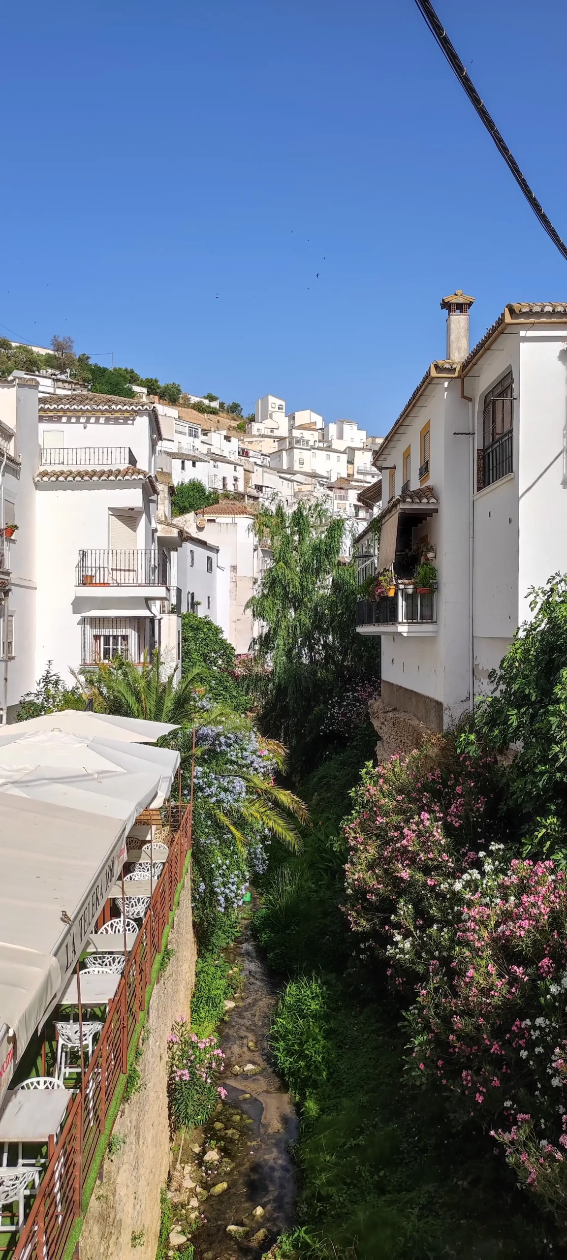 Španjolska, Andaluzija (61)