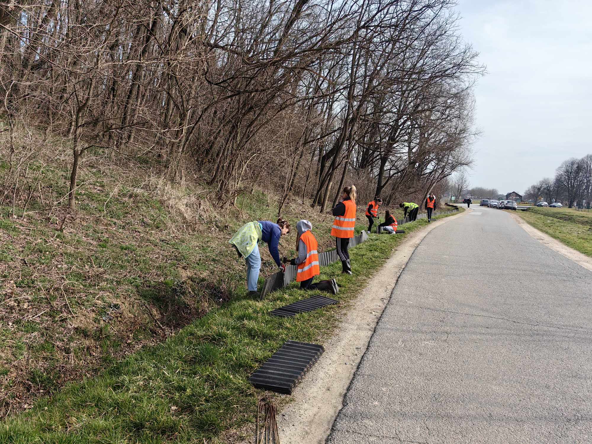 Spašavanje žaba na cestama Međimurja započelo na Dan žena (13)