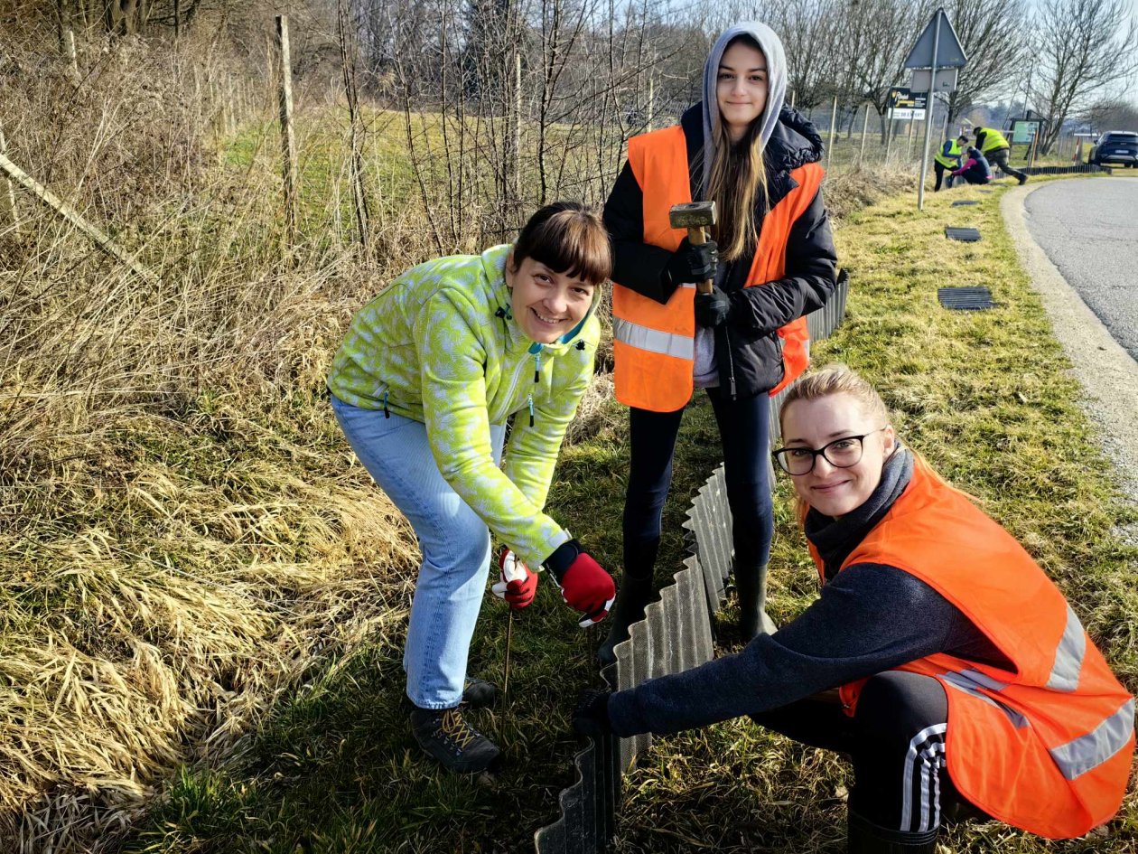 Spašavanje žaba na cestama Međimurja započelo na Dan žena (21)