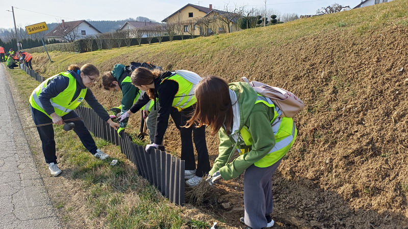Spašavanje žaba na cestama Međimurja započelo na Dan žena (4)