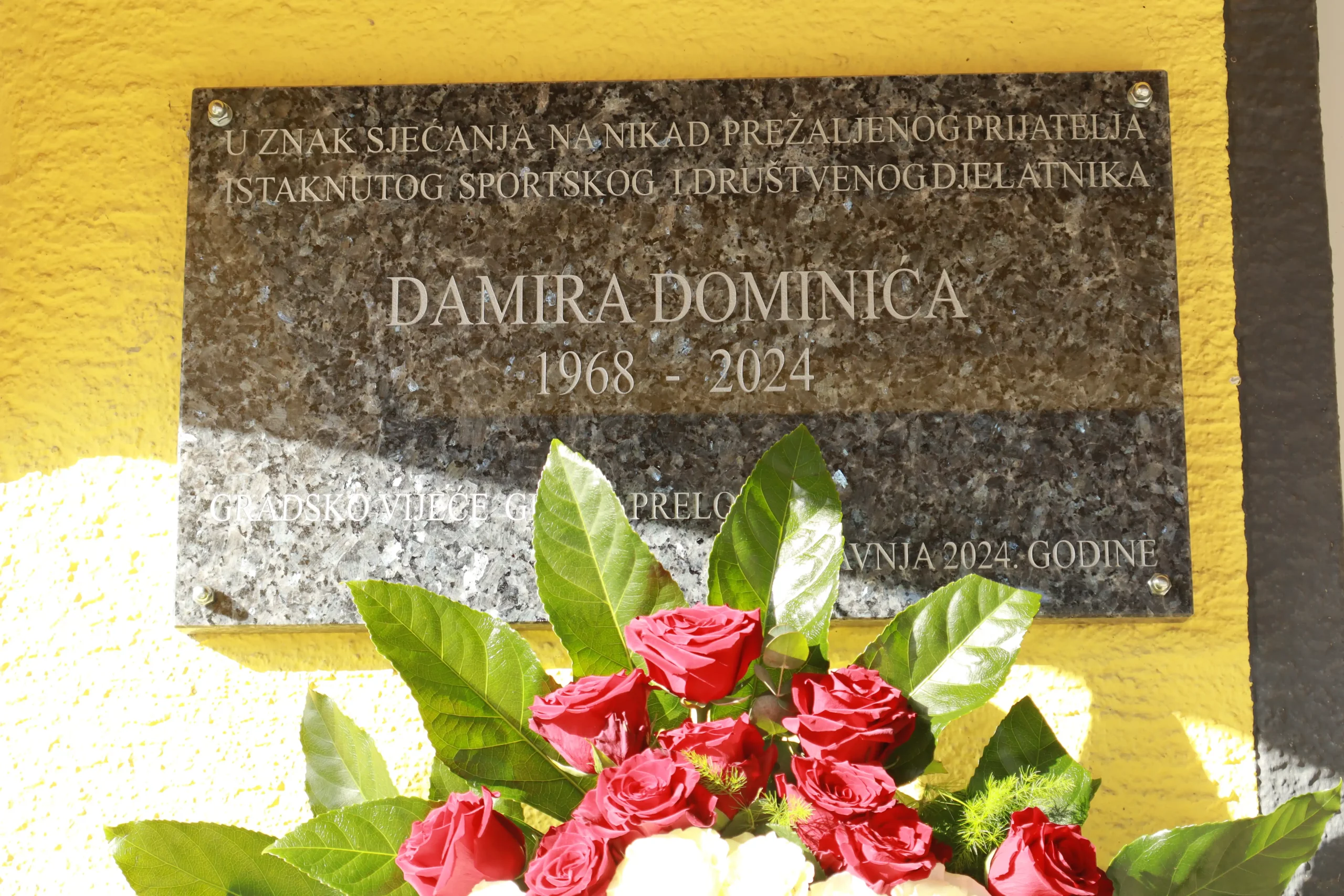 Sportski park Damir Dominić (28)