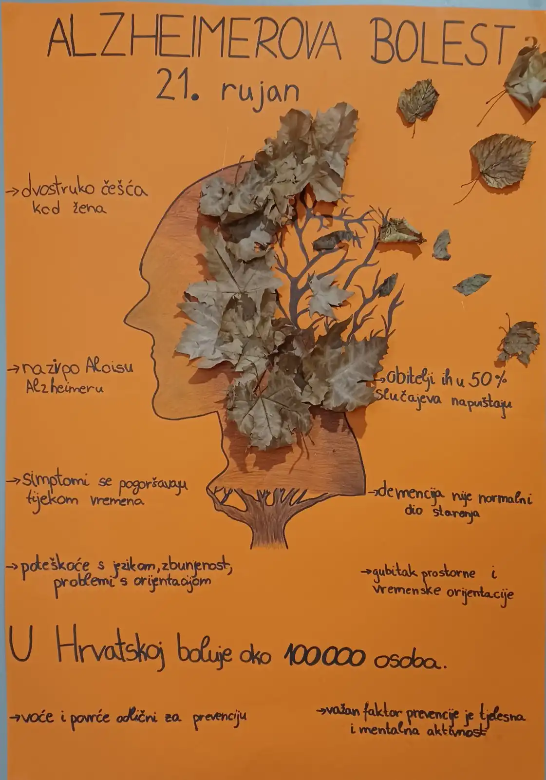 Srednja škola Čakovec (6)