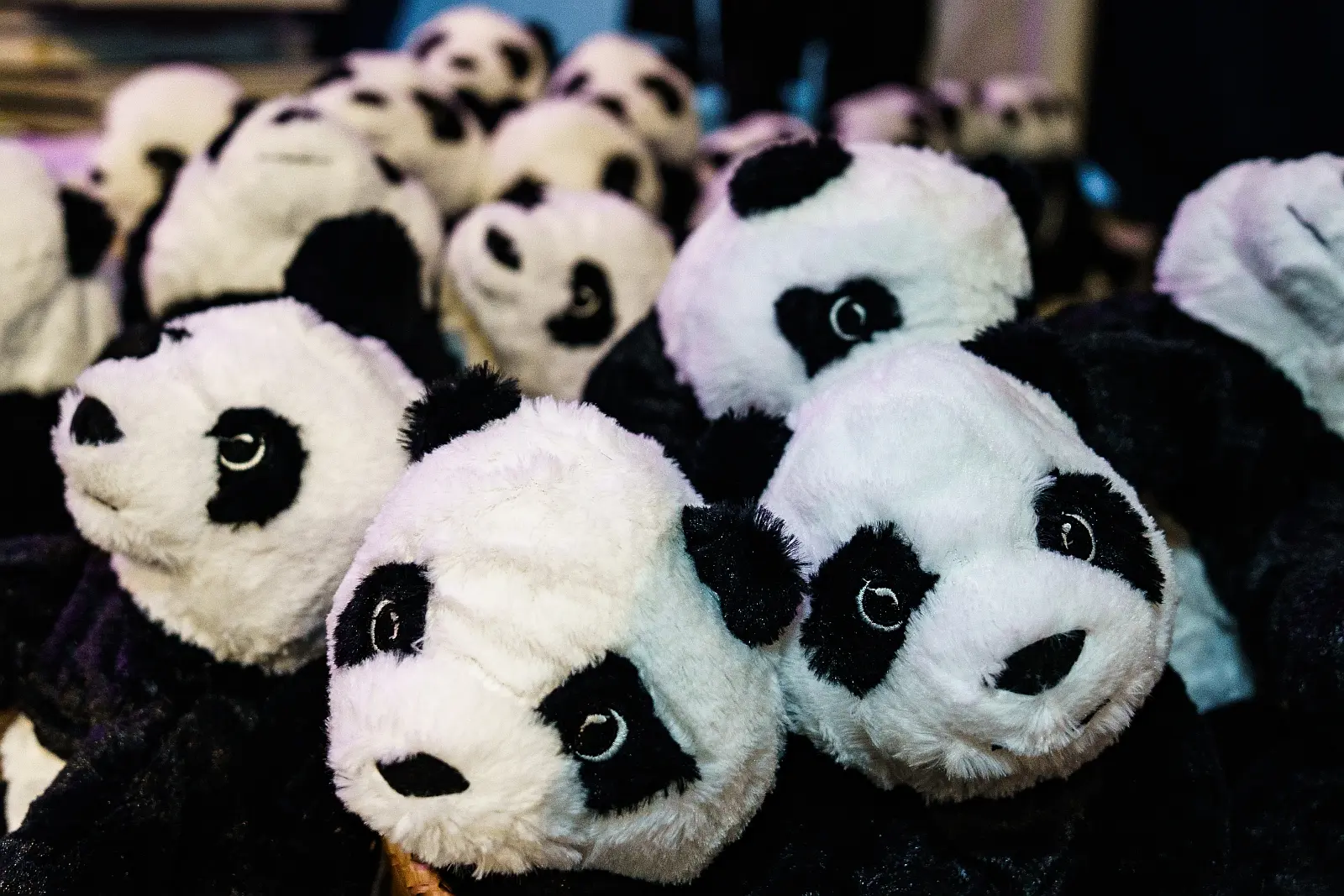 Srednja škola Čakovec dan škole (35) Srednja škola Čakovec dan škole (35)