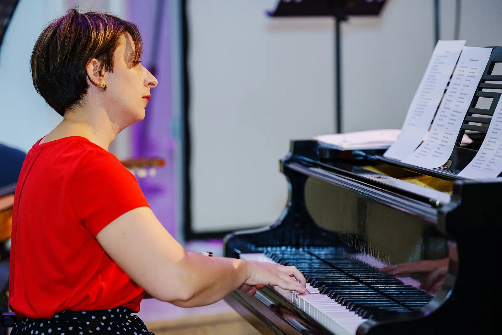 Srednja škola Čakovec dan škole (4) Srednja škola Čakovec dan škole (4)