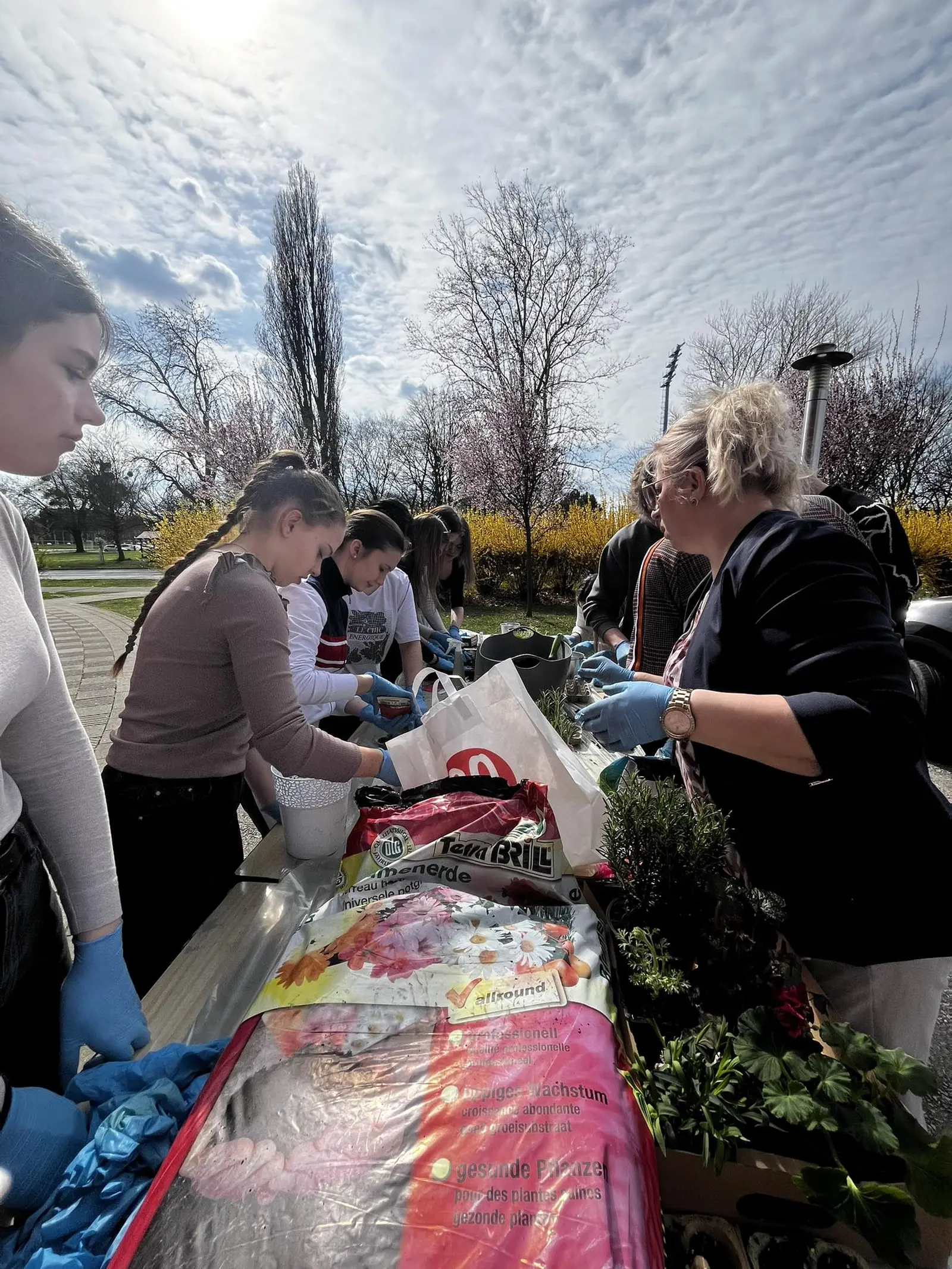 Srednja škola Čakovec, projekt Domaćinstvo2 (4)