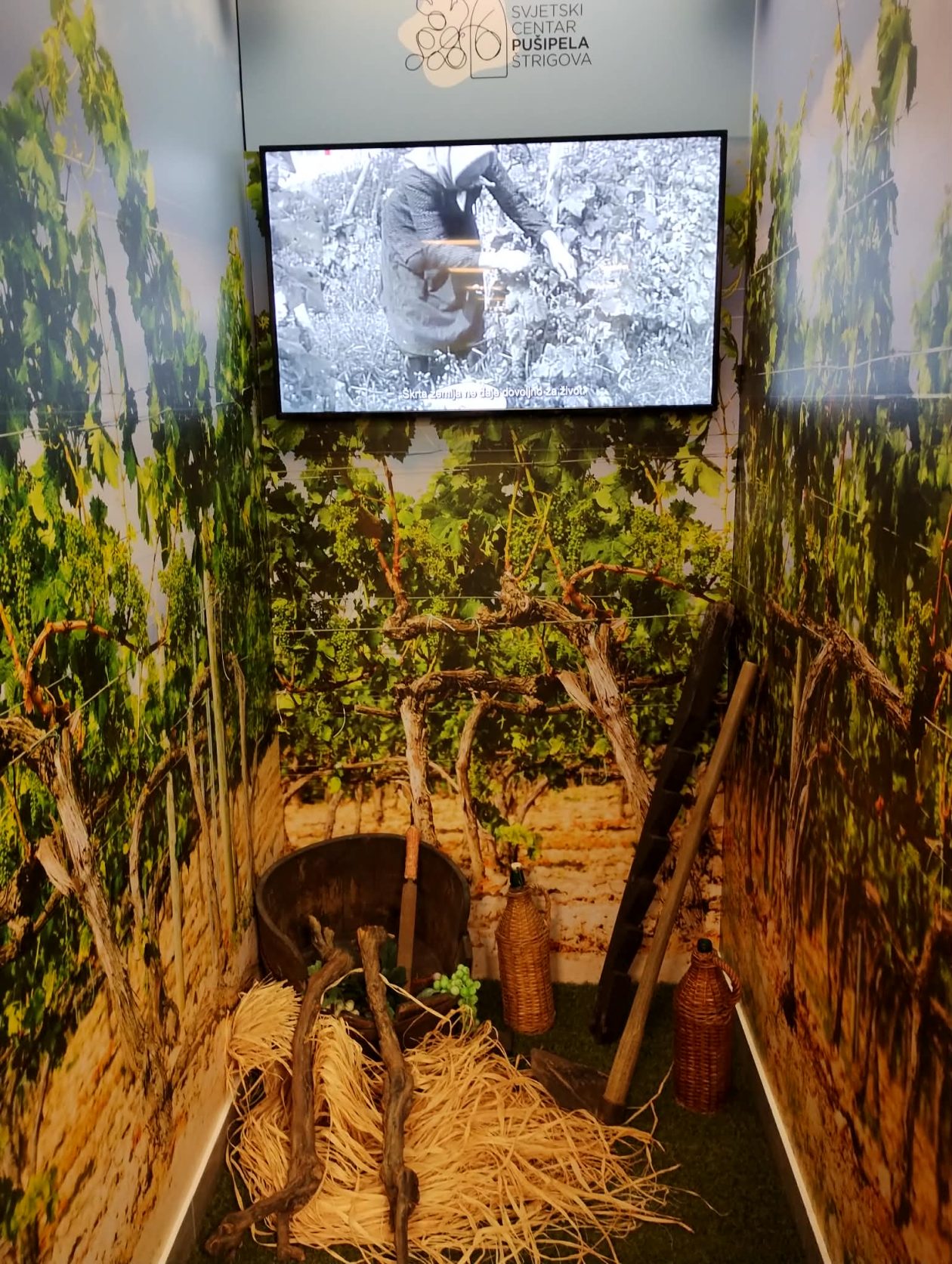 Srednja škola Prelog gornje međimurje (10)