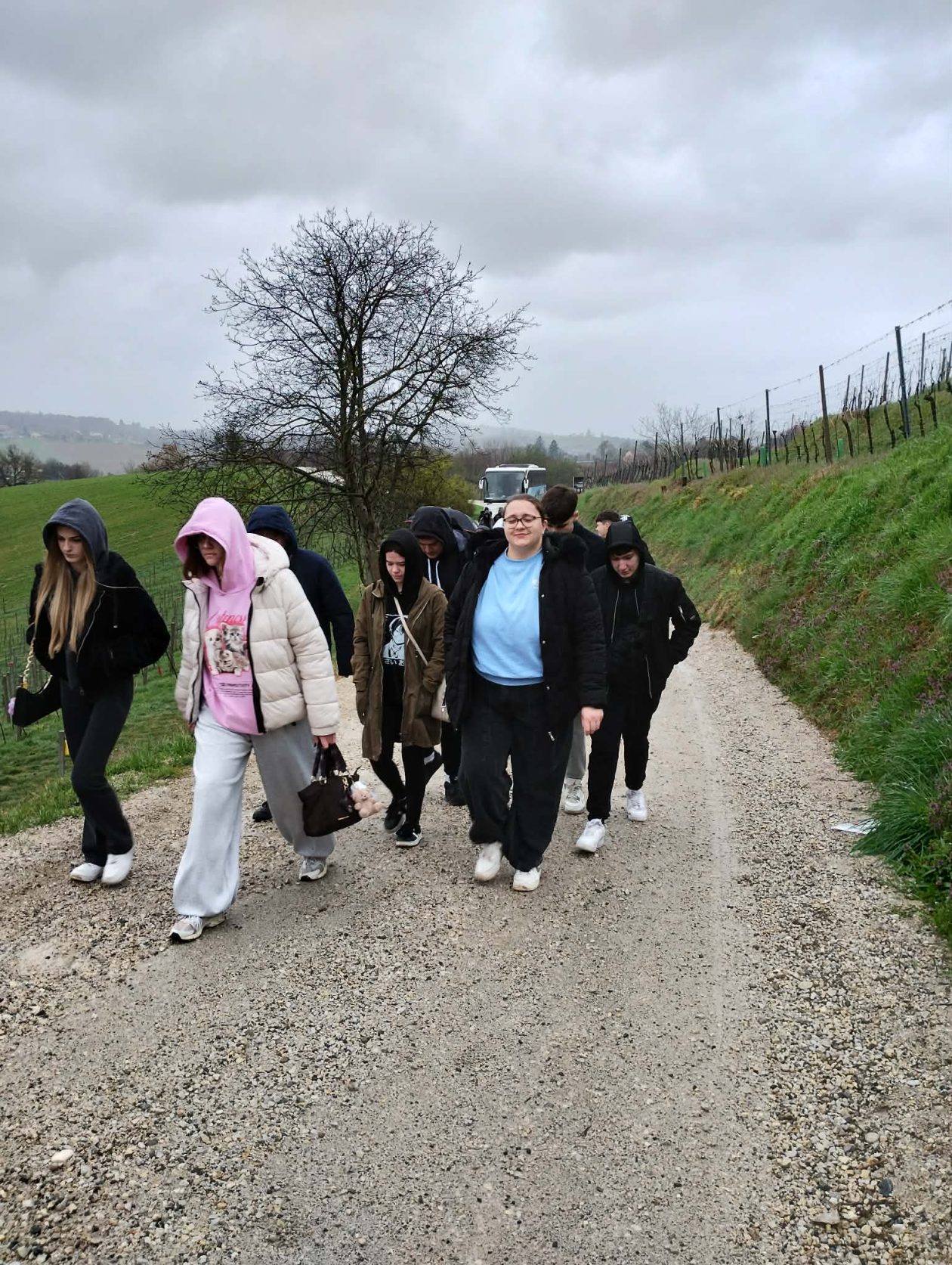 Srednja škola Prelog gornje međimurje (12)