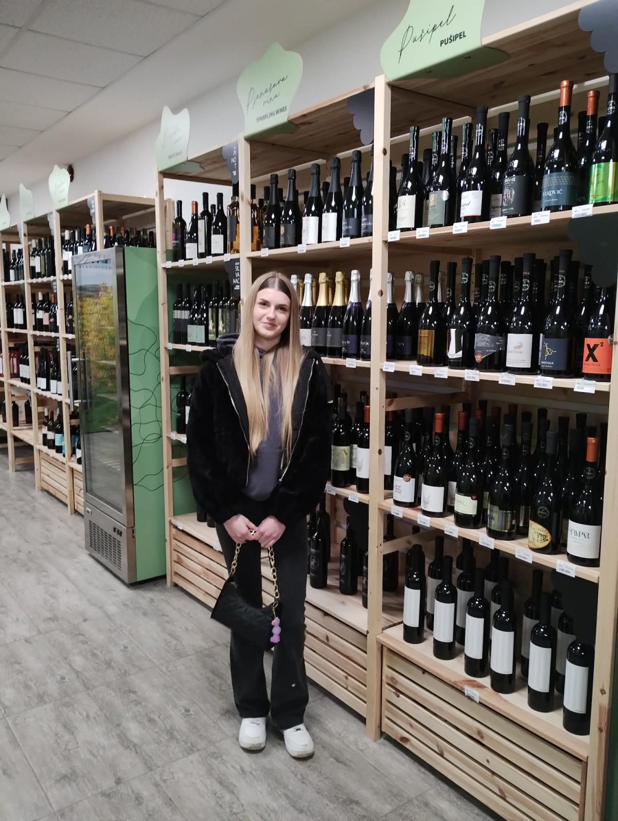 Srednja škola Prelog gornje međimurje (4)