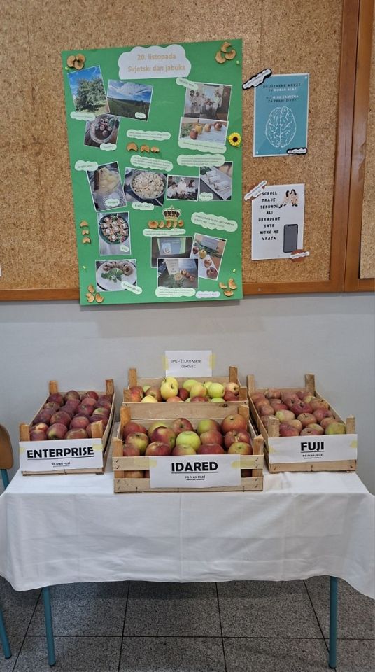 Srednja škola Prelog sv. dan jabuka 2025 (6)