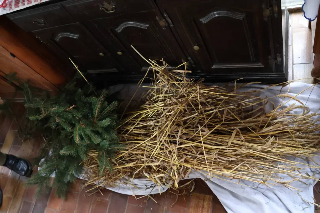 Stanislav Stanko Trstenjak, Marof, Sveti Martin na Muri (37)