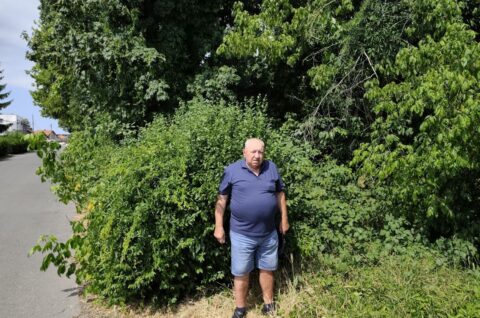 Stanko Kos, čakovec (2)