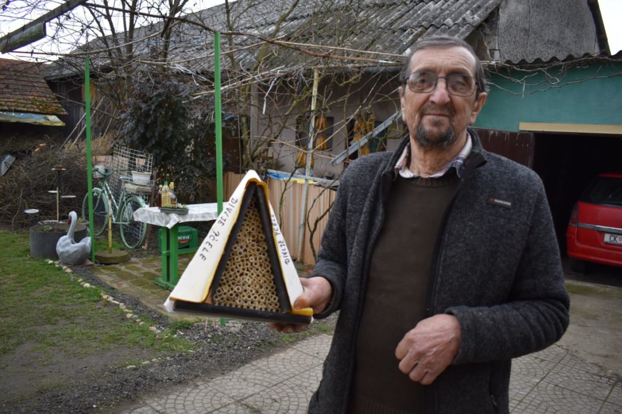 Stare sorte Marija Đuro Kolac (2) Stare sorte Marija Đuro Kolac (2)