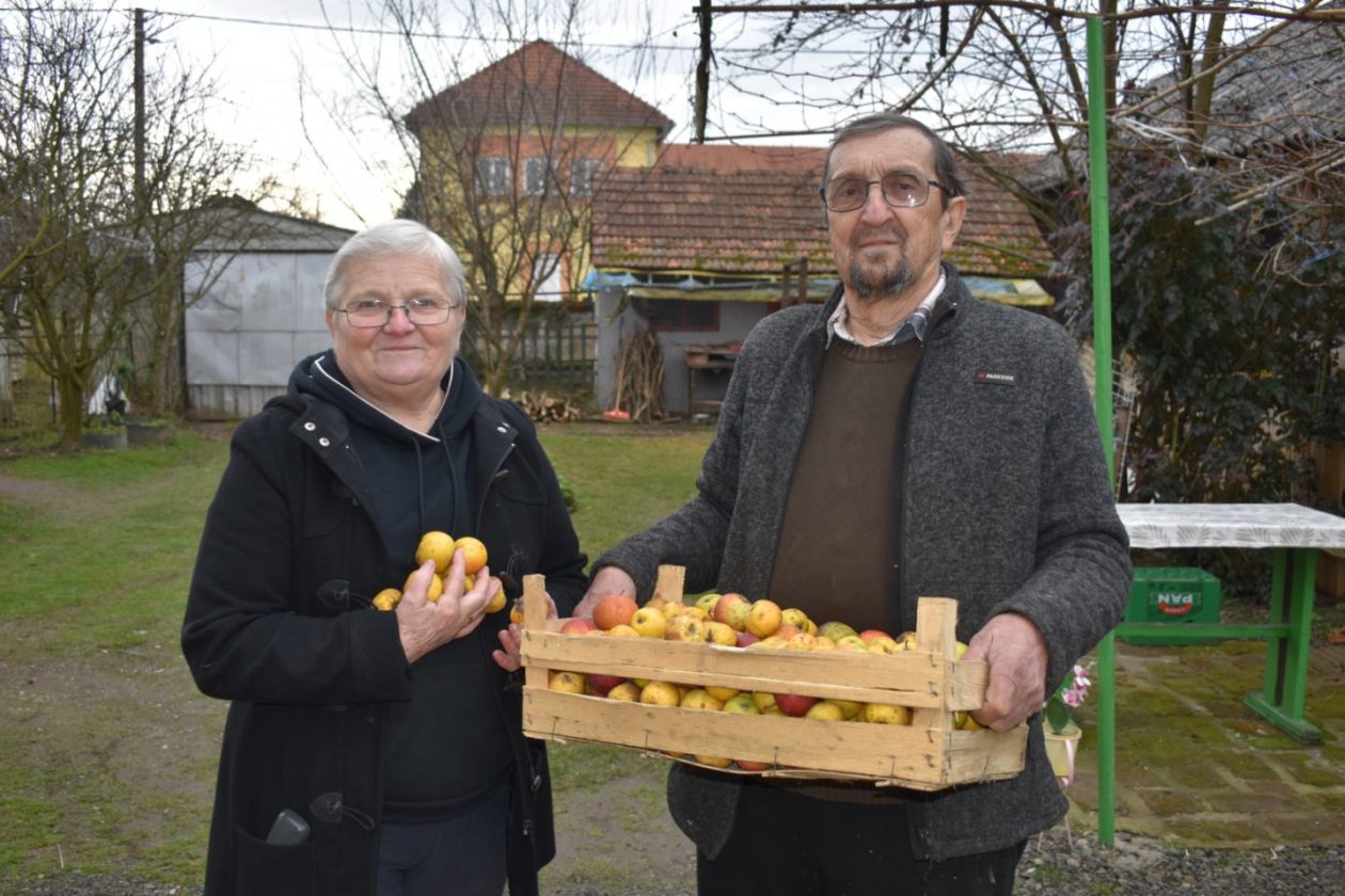 Stare sorte Marija Đuro Kolac (5) Stare sorte Marija Đuro Kolac (5)