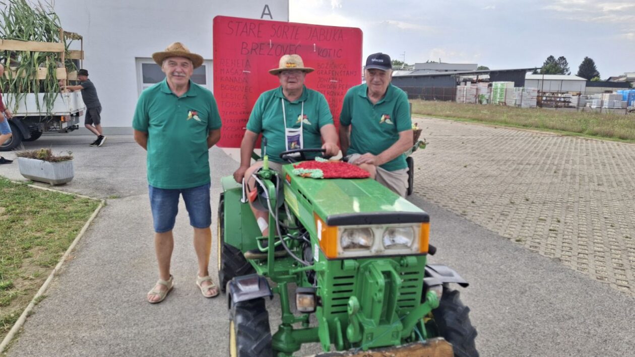 Stare sorte jabuka, Sveti Martin na Muri, povorka (2)