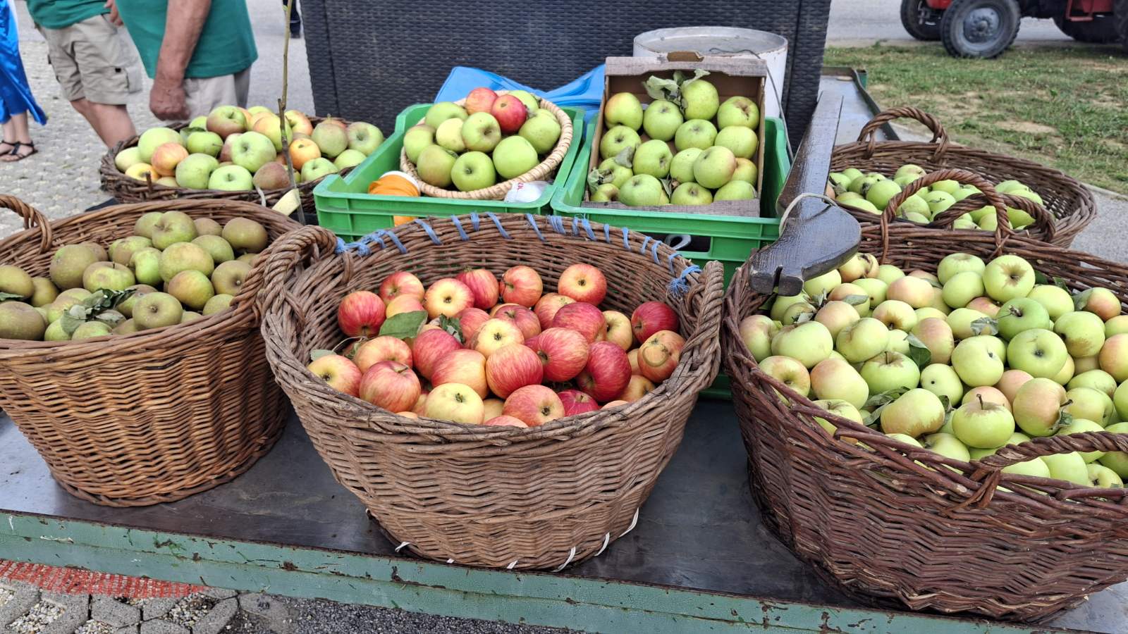 Stare sorte jabuka, Sveti Martin na Muri, povorka (6)