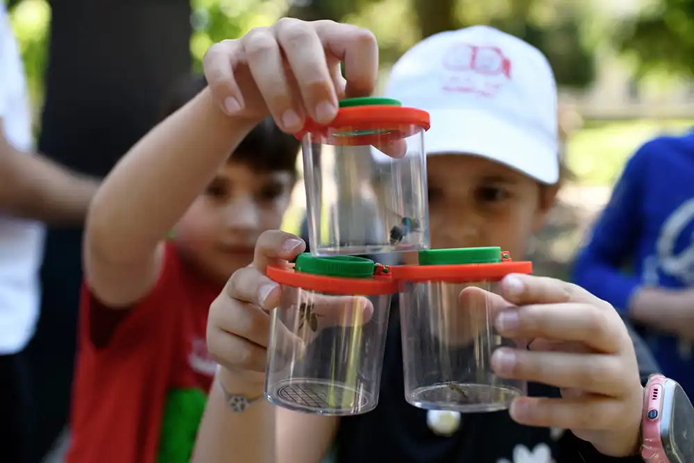 Steam-festival-petak-22