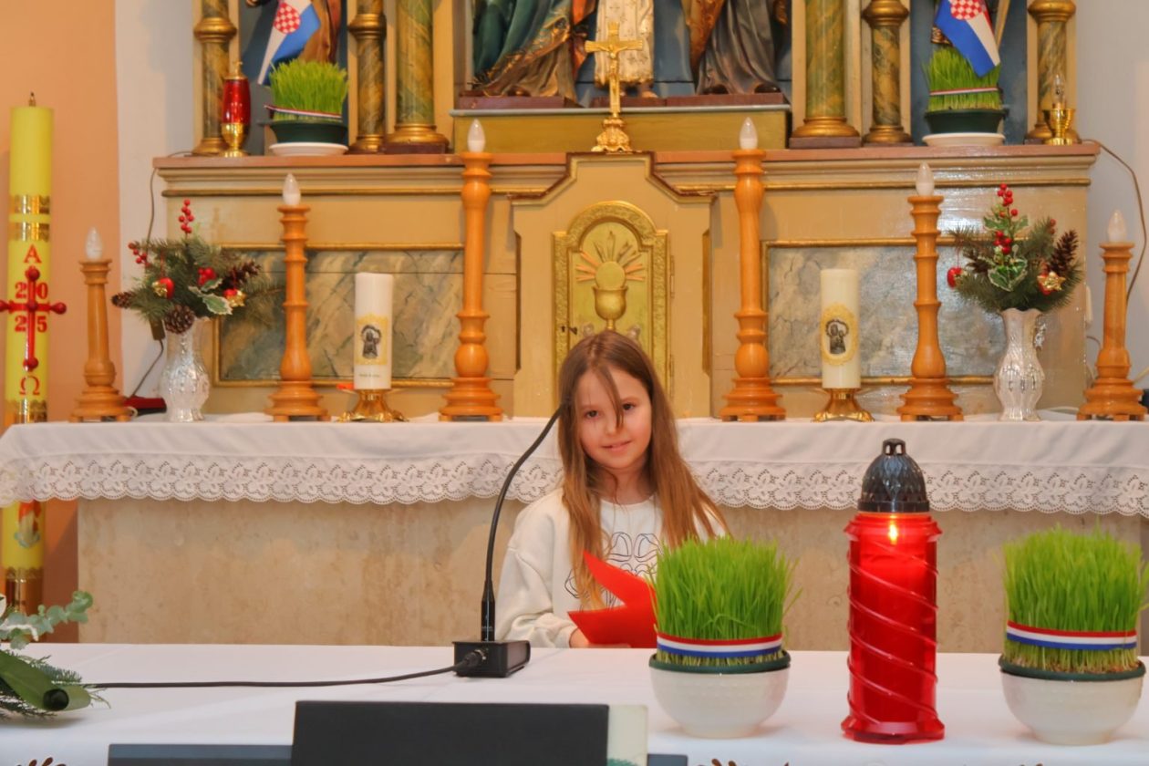 Štefanec božićni koncert (8) Štefanec božićni koncert (8)