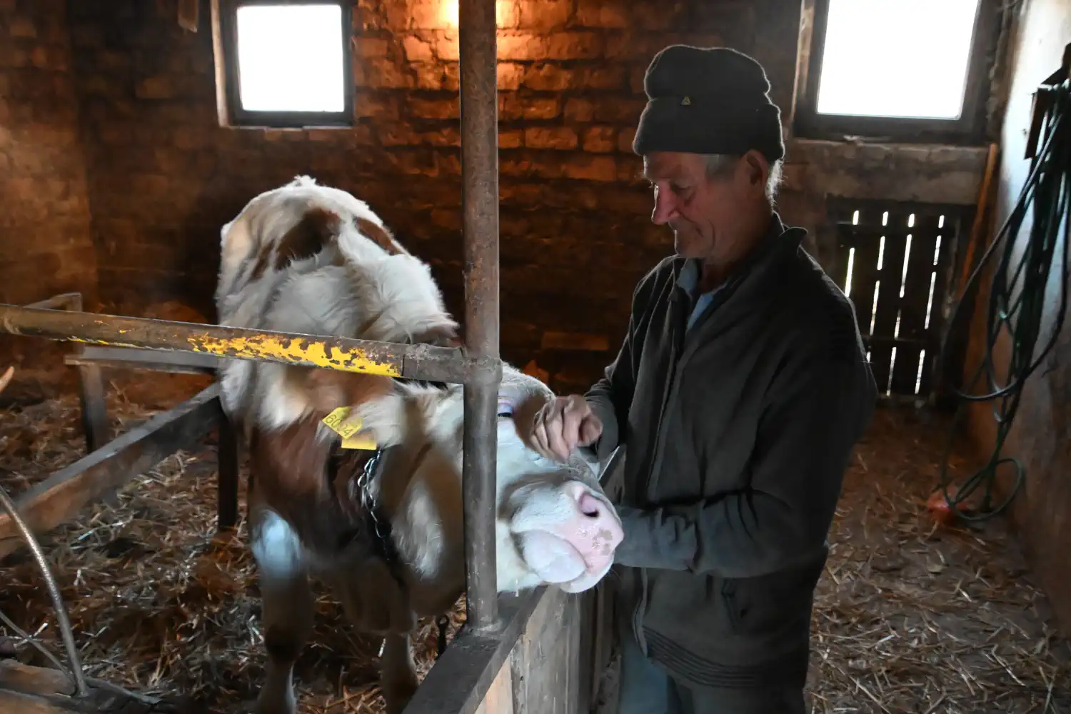 Štefanija i Ivan Škorjanec – Gornja Dubrava (2)