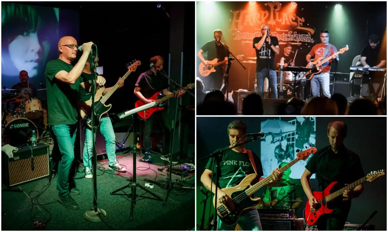 Steiner 10 Steiner 10