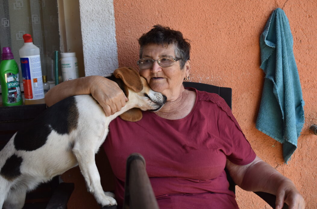 Stela Hat (2) Stela Hat (2)